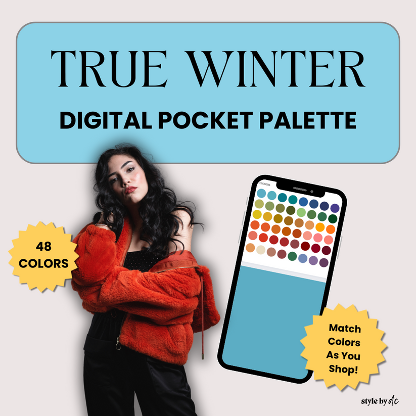 True Winter Color Palette – Style with DC